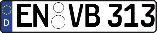 EN-VB313