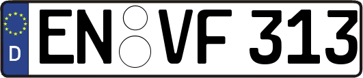EN-VF313
