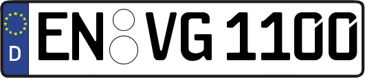 EN-VG1100