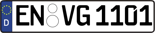 EN-VG1101