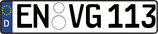 EN-VG113