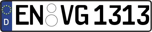 EN-VG1313