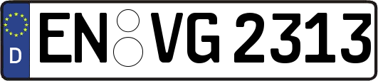EN-VG2313