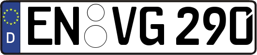 EN-VG290
