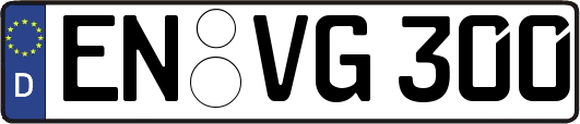 EN-VG300
