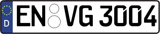 EN-VG3004