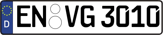 EN-VG3010