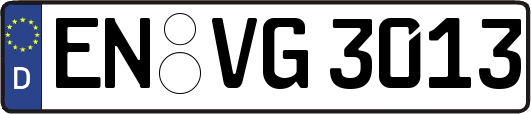 EN-VG3013