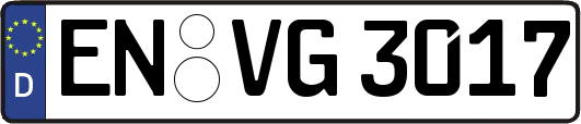 EN-VG3017