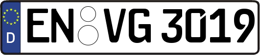 EN-VG3019