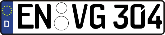 EN-VG304