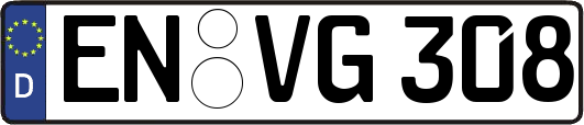 EN-VG308