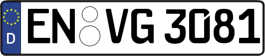 EN-VG3081