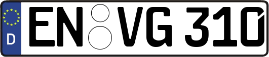 EN-VG310