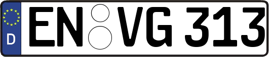 EN-VG313