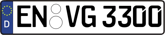 EN-VG3300