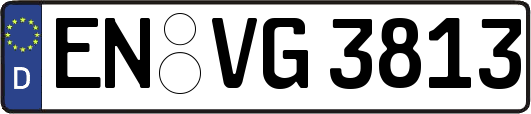 EN-VG3813