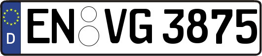EN-VG3875