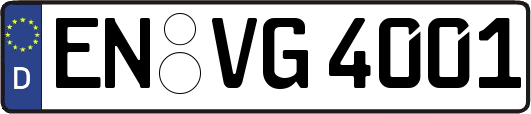 EN-VG4001