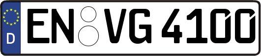EN-VG4100