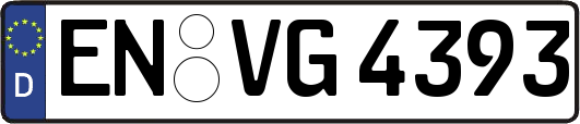 EN-VG4393