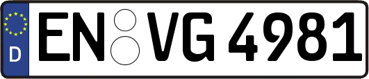 EN-VG4981