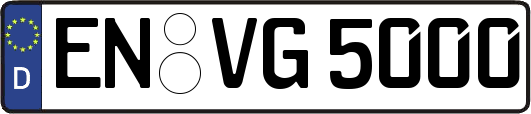 EN-VG5000
