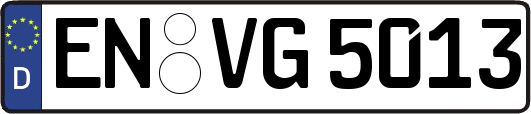 EN-VG5013