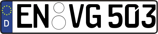 EN-VG503