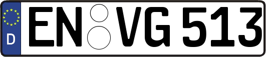 EN-VG513