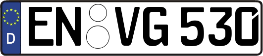 EN-VG530