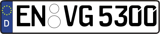 EN-VG5300