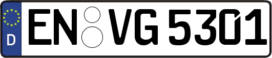 EN-VG5301