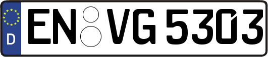 EN-VG5303