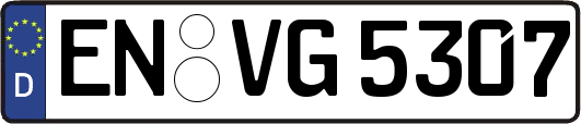 EN-VG5307