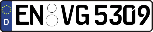 EN-VG5309