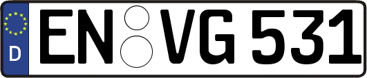 EN-VG531