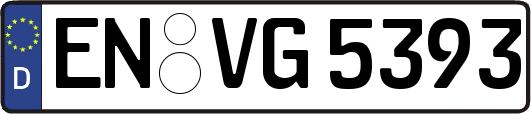 EN-VG5393