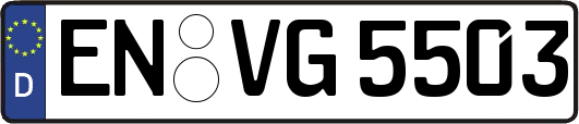 EN-VG5503