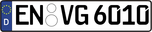 EN-VG6010