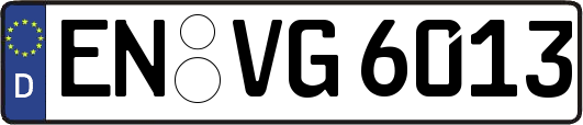 EN-VG6013