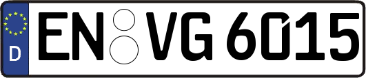 EN-VG6015