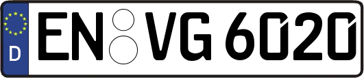 EN-VG6020