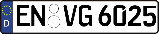 EN-VG6025