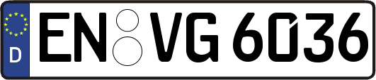 EN-VG6036