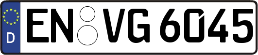 EN-VG6045