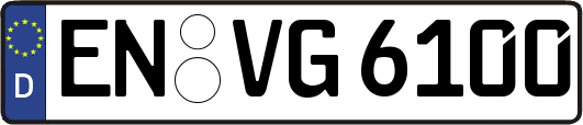 EN-VG6100
