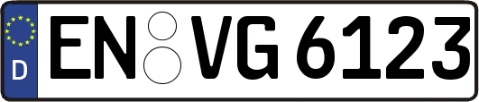 EN-VG6123