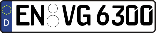 EN-VG6300