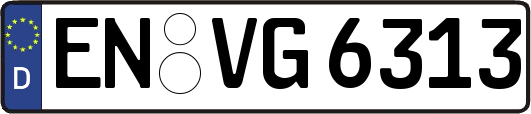 EN-VG6313
